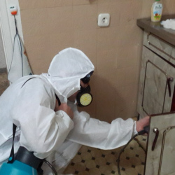 Дезинфекция от муравьев в квартире в Нижних Сергах