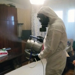 Дезинфекция от клопов в Нижних Сергах