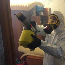 Уничтожение клопов в квартире. Нижние Серги